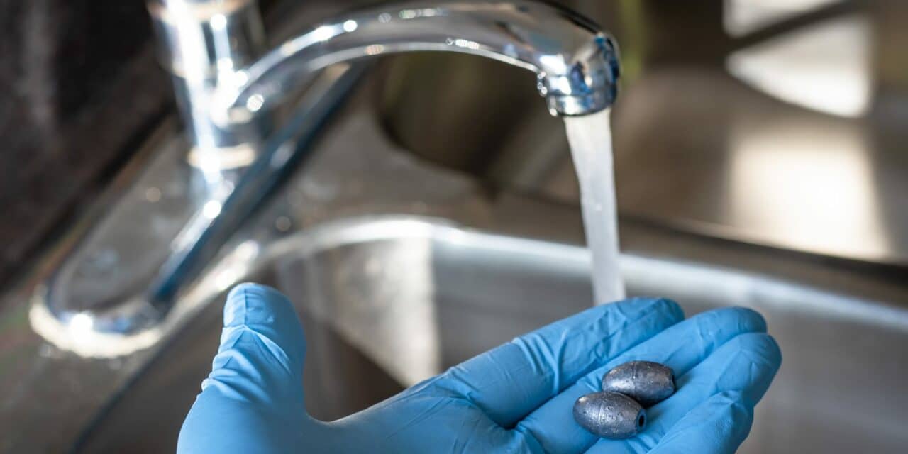 The Peril of Toxic Metals on Cardiovascular Health