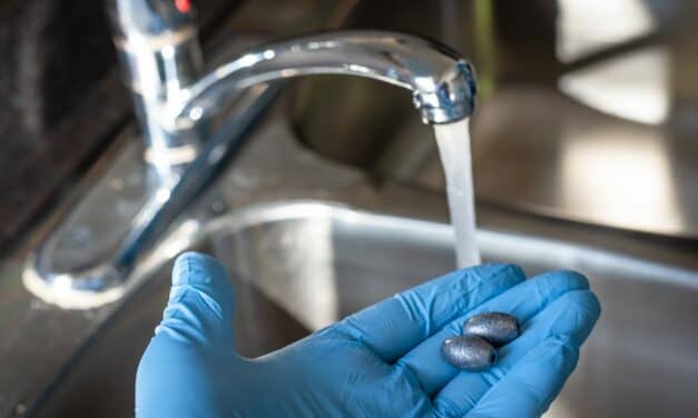 The Peril of Toxic Metals on Cardiovascular Health