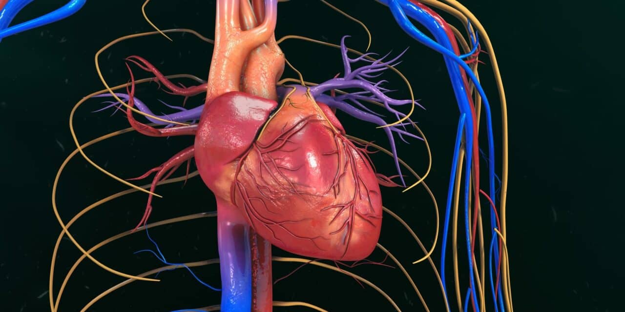 Transcatheter Mitral Valve Repair Offers Hope for Heart Failure Patients with Malnutrition