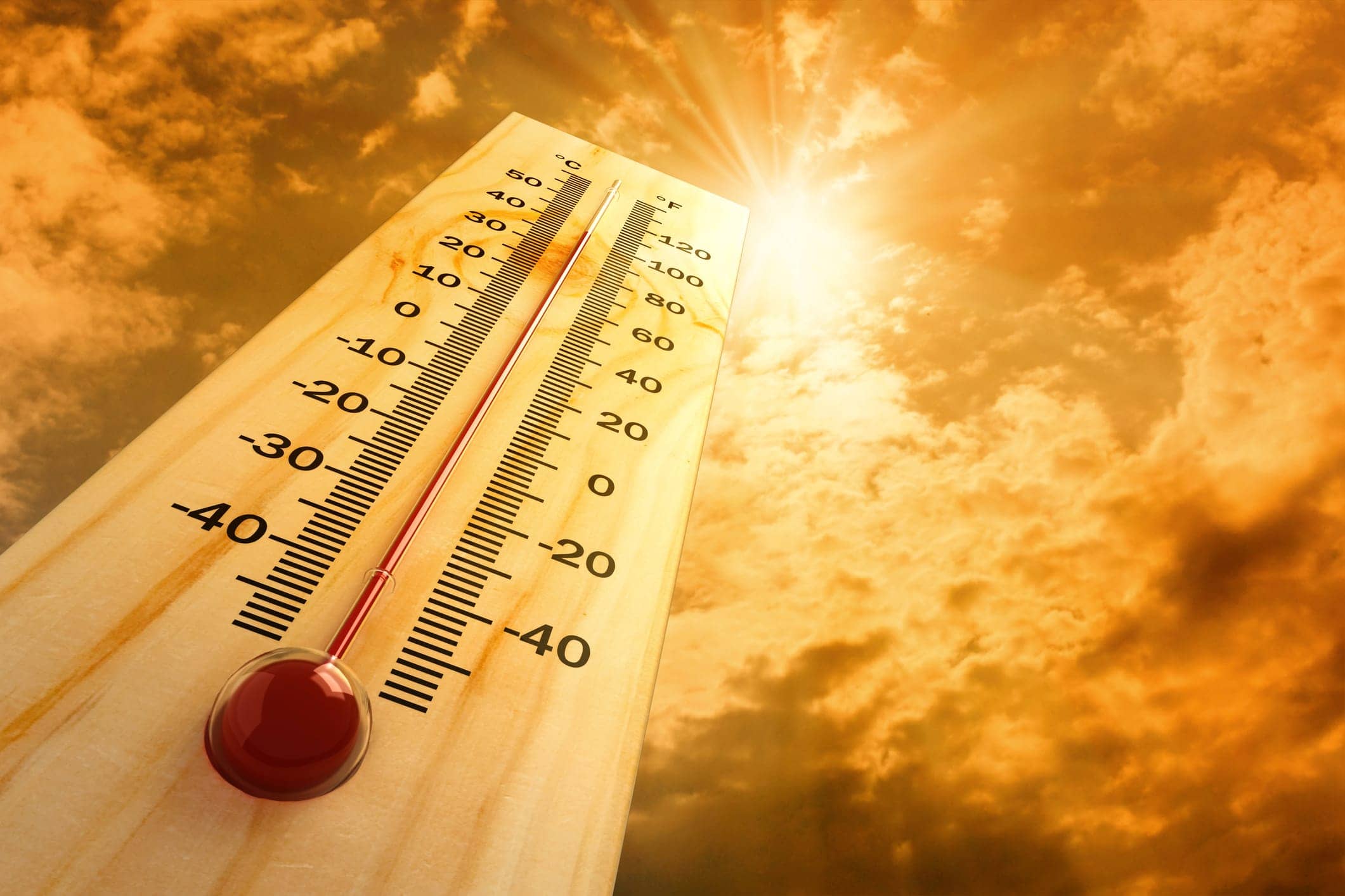 Heat Related Cardiovascular Deaths Predicted to Rise Cardiology Heat Related Cardiovascular Deaths Predicted to Rise Cardiology
