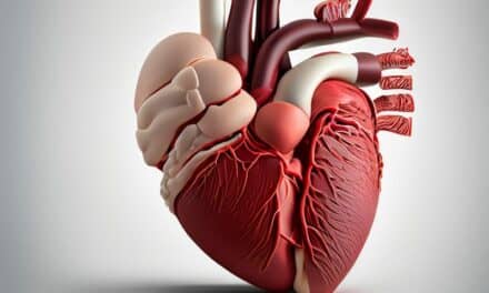 FDA Clears inHEART AI Software for Optimized 3D Heart Modeling