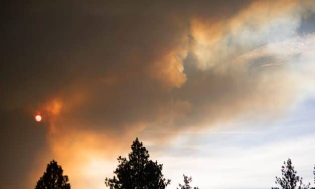 Wildfire Smoke Tied to Higher Heart and Lung-Related Doctor Visits